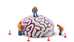 Concept image of miniature construction workers inspecting a brain. There are small caution cones around the brain. White background.